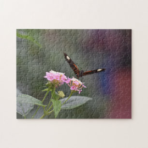 Puzzle Papillons papillons Nature Photographie Jardin