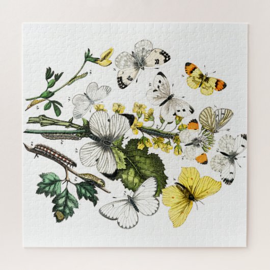 Puzzle Papillons vintages (Horizontal)