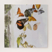 Puzzle Papillons vintages & Fée Vieux art d'illustration (Horizontal)