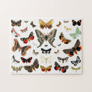 Puzzle Papillons vintages & papillons de nuit Illustratio