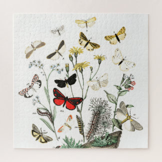 Puzzle Papillons vintages & papillons de nuit Illustratio