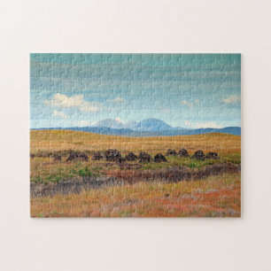 Puzzle Paps of Jura depuis Islay, Écosse