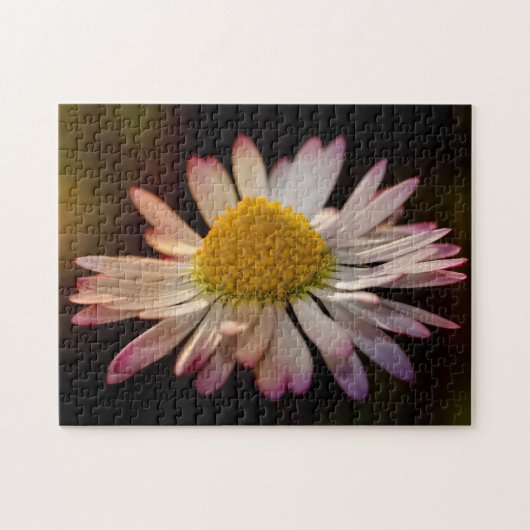 Puzzle Pâquerette (Horizontal)