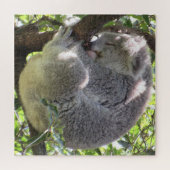 Puzzle paquet koala (Horizontal)