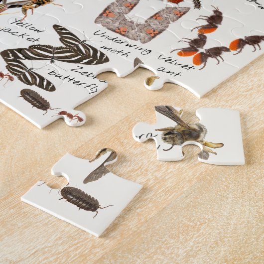 Puzzle par alphabet de bogues \ Insecter ABC (Côté)