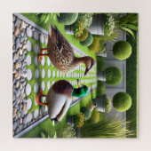 Puzzle Paradis du Canard (Horizontal)