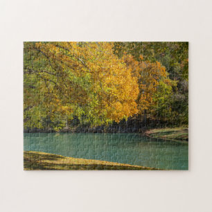 Puzzle Parapluie d'érable sur le ruisseau de cornouiller