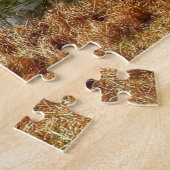 Puzzle Parc Braunschweig Allemagne. (Côté)