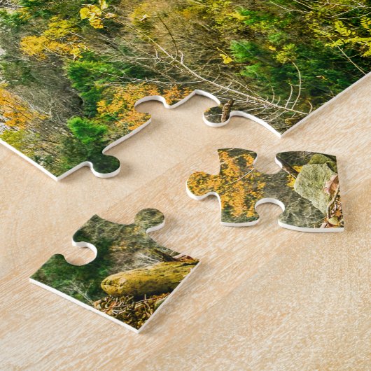 Puzzle Parc d'Autumn Oversized (Côté)