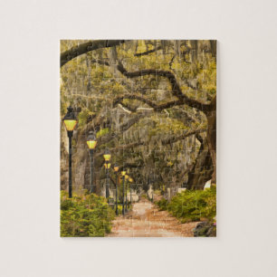 Puzzle Parc de Forsyth - photo, la savane, la Géorgie