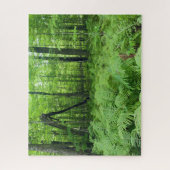 Puzzle Parc d'état de Jay Cooke Ferns et Forêt (Vertical)