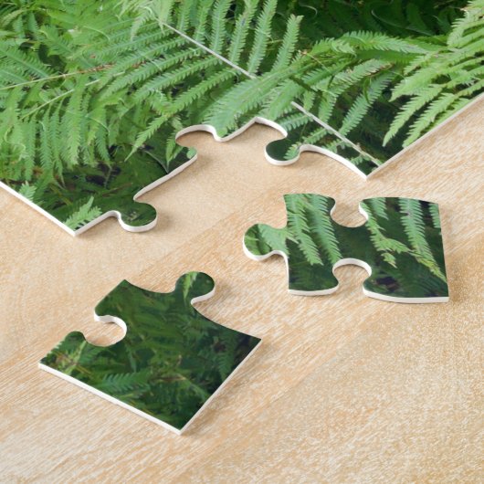 Puzzle Parc d'état de Jay Cooke Ferns et Forêt (Côté)
