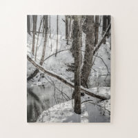 Parc d'état de Letchworth Snow Nature hiver