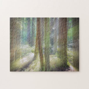 Puzzle Parc d'état de Pittoresque Beach