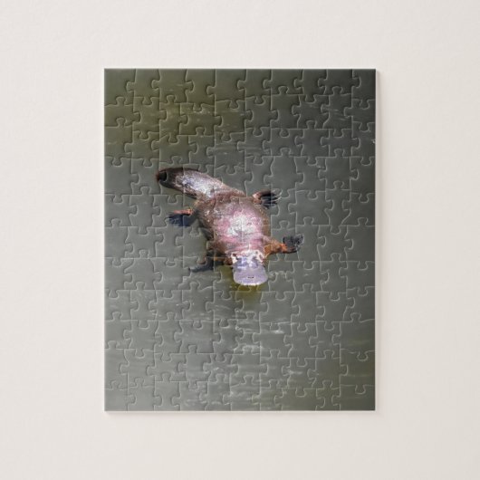 PUZZLE PARC NATIONAL AUSTRALIE DE L'ORNITHORYNQUE (Vertical)