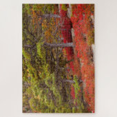 Puzzle Parc national d'Acadia, Maine (Vertical)