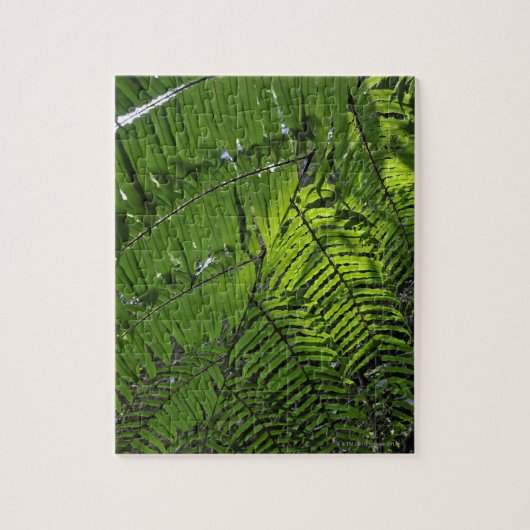 Puzzle Parc national de Bach mA (Vertical)