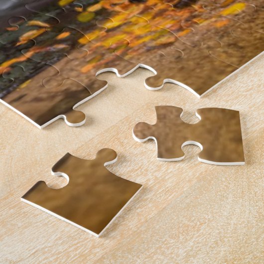 Puzzle Parc national de Blackwater Falls (Côté)