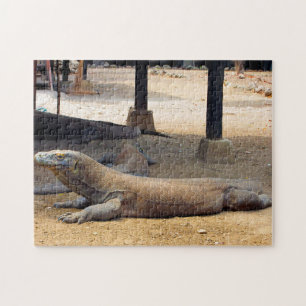 Puzzle Parc national de Komodo en Indonésie.