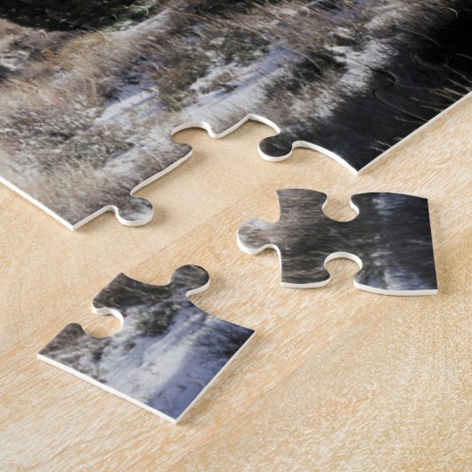 Puzzle Parc national de la Californie, Joshua Tree (Côté)