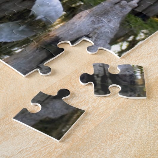 Puzzle Parc national de marais (Côté)