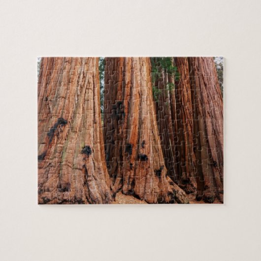 Puzzle Parc national de Sequoia (Horizontal)