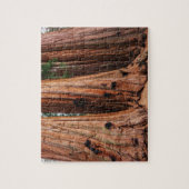 Puzzle Parc national de Sequoia (Vertical)