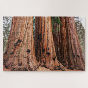 Puzzle Parc national de Sequoia