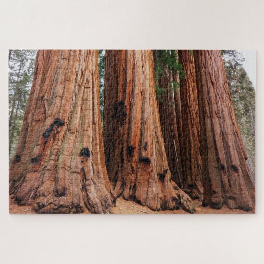 Puzzle Parc national de Sequoia (Horizontal)