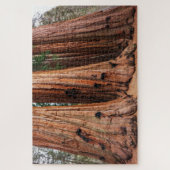 Puzzle Parc national de Sequoia (Vertical)
