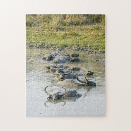Puzzle Parc national de Water Buffalo Kaziranga. (Vertical)