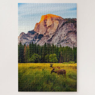 Puzzle Parc national de Yosemite Californie Montagne Faun