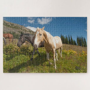 Puzzle Parc national des North Cascades