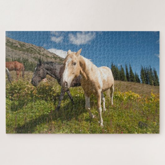 Puzzle Parc national des North Cascades (Horizontal)