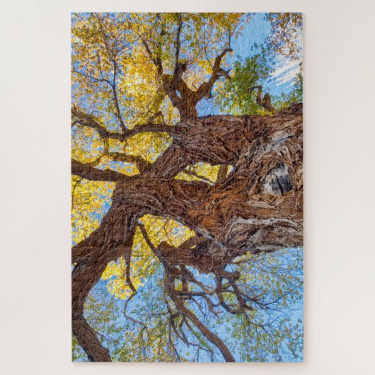 Puzzle Parc national du Capitol Reef, Cottonwood Tree (Vertical)