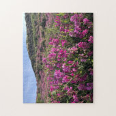 Puzzle Parc Rock State de Sisters (Vertical)