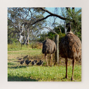 Puzzle Parents d'émeu fiers avec leurs poussins,
