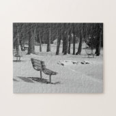 Puzzle Park Benches Among a Mid Winters Scene Family Fun (Horizontal)