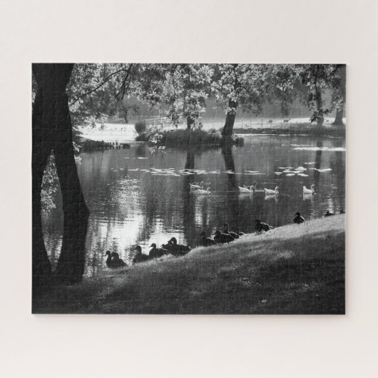 Puzzle Park Life 16x20 jpcna 520 pc (Horizontal)