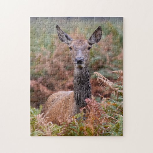 Puzzle Parles-Tu Avec Moi ? - 11x14 - 252 pièces (Vertical)