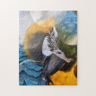 Puzzle Parrot couleur Bird