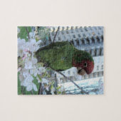 Puzzle Parrots Sauvages De La Colline Telegraph (Horizontal)