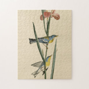 Puzzle Parula du nord des oiseaux d'Amérique d'Audubon