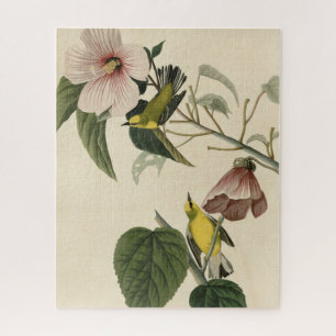 Puzzle Paruline jaune à ailes bleues - Audubon Birds Amér
