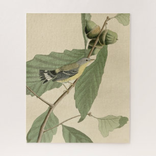 Puzzle Paruline noire et jaune, Audubon's Birds of Americ