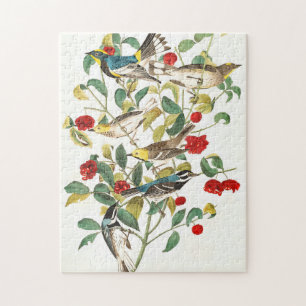Puzzle Paruline par John James Audubon