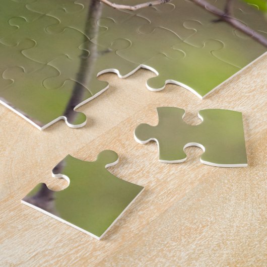 Puzzle Paruline protonotaire (Côté)