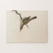 Puzzle Paruline Reed Wren | William Lewin (Horizontal)