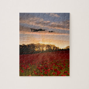 Puzzle Passe de terrain