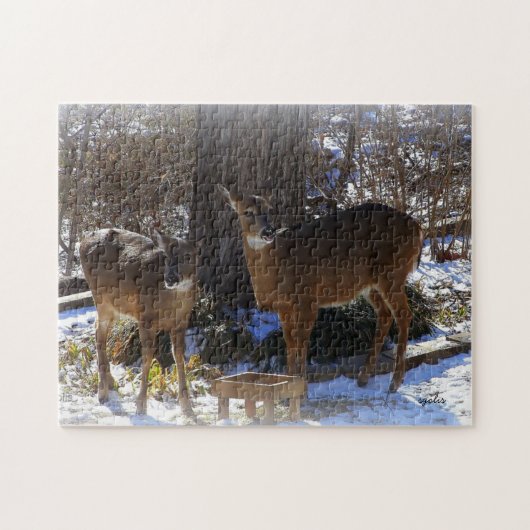 Puzzle Passe-photos de cerf blanc 11x14 avec boîte cadeau (Horizontal)